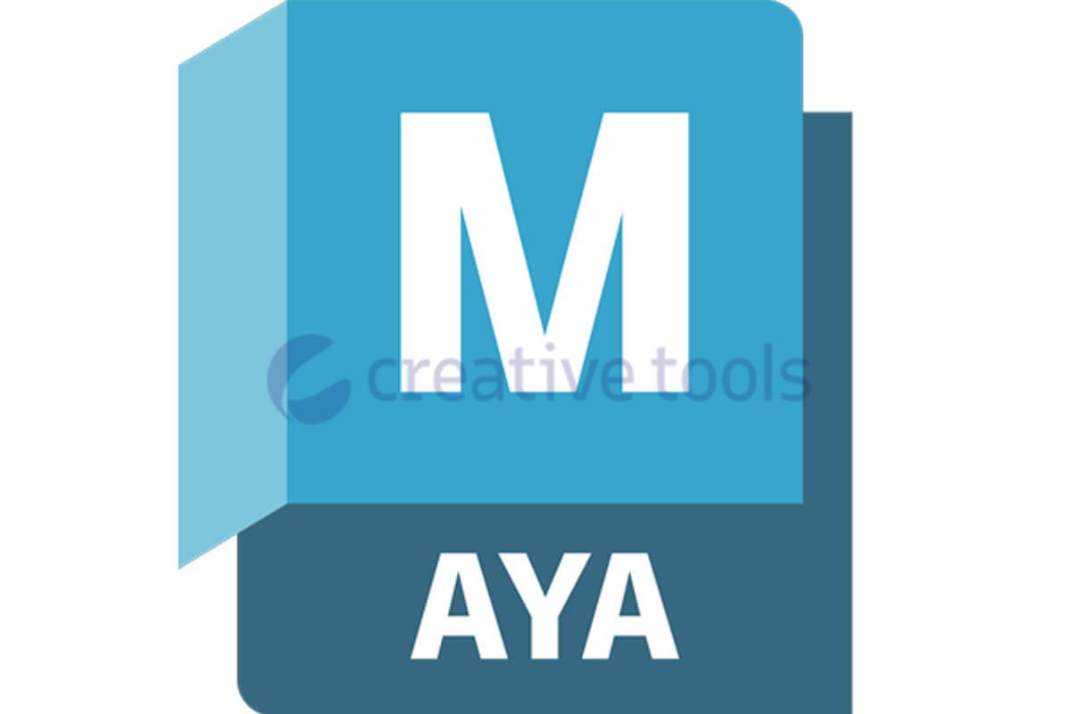 Autodesk Maya 2023 einjährliches Abonnement NEW SLM