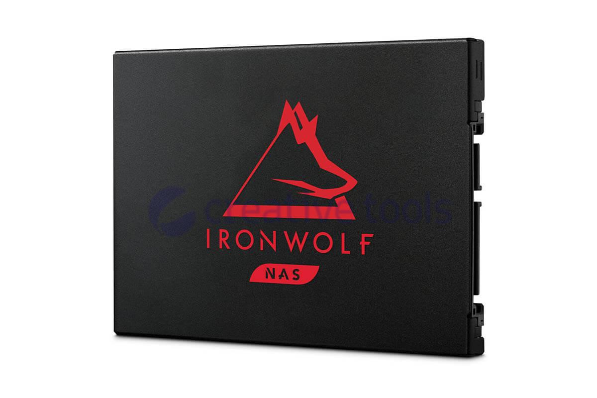 Seagate IronWolf 125 SSD 500GB