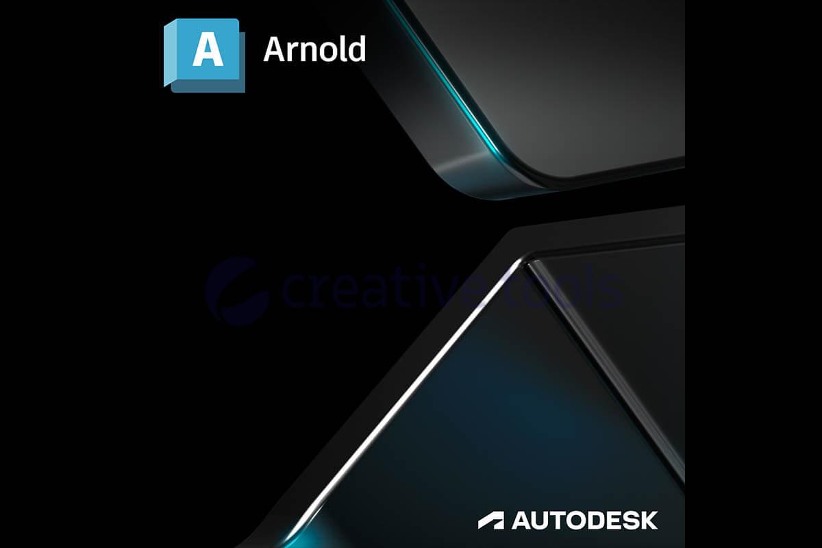 Autodesk Arnold 2024 einjährliches Abonnement NEW SLM